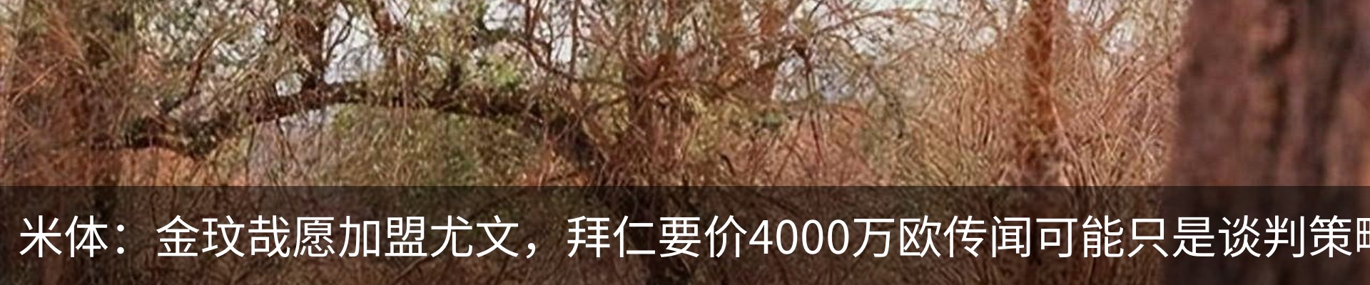内页banner